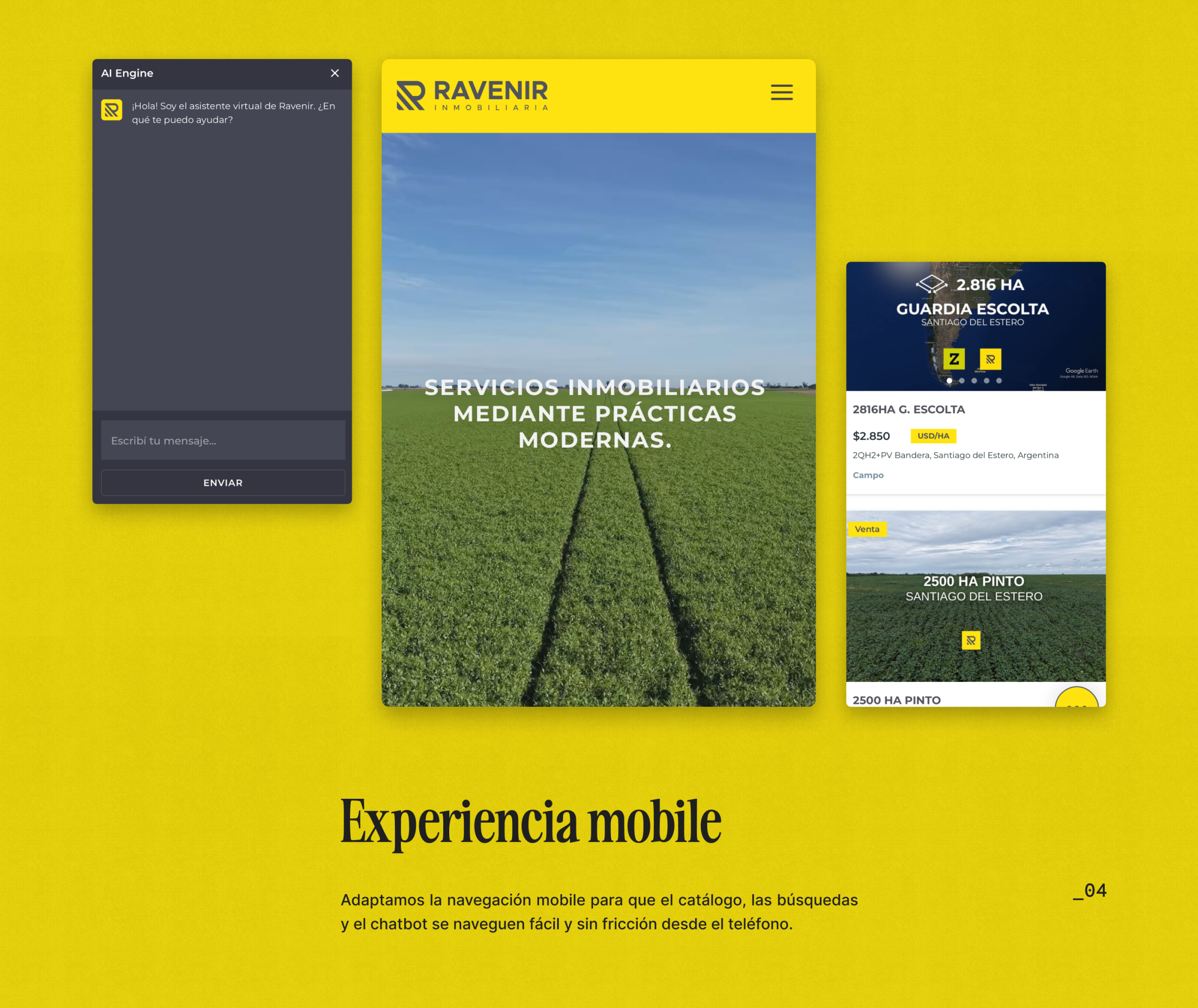 Ravenir — imagen del proyecto